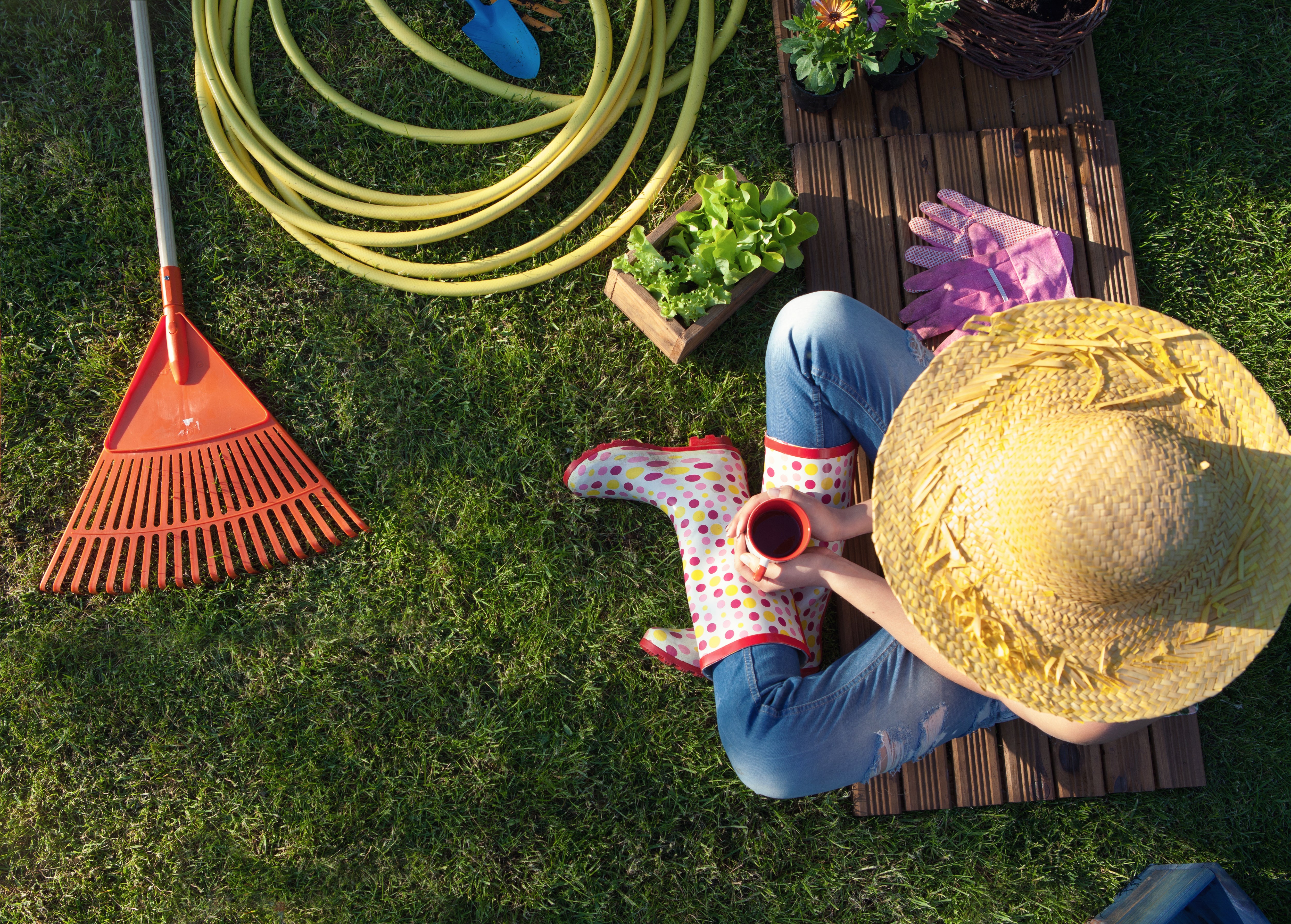 Comment préparer son jardin à l'arrivée du Printemps ?